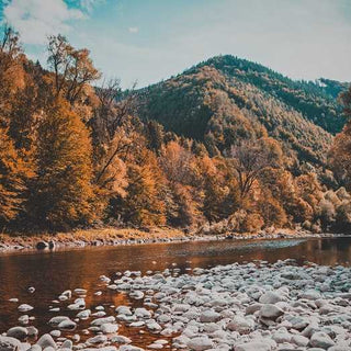 Lorem ipsum dolor